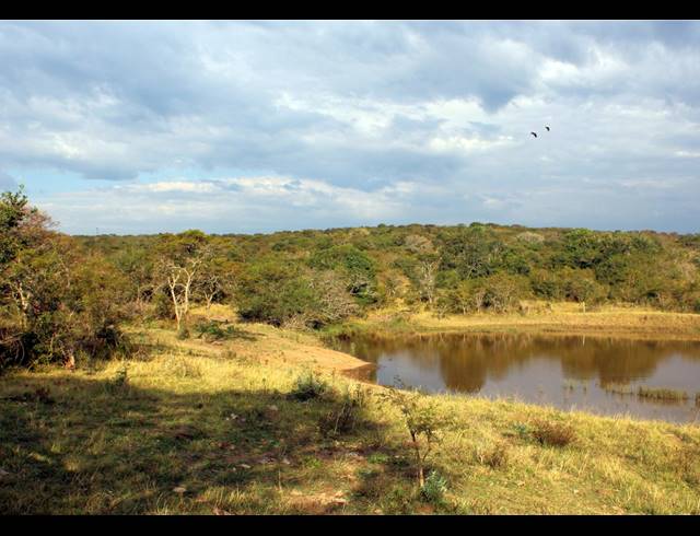 367HA FARM FOR SALE IN KOMGA